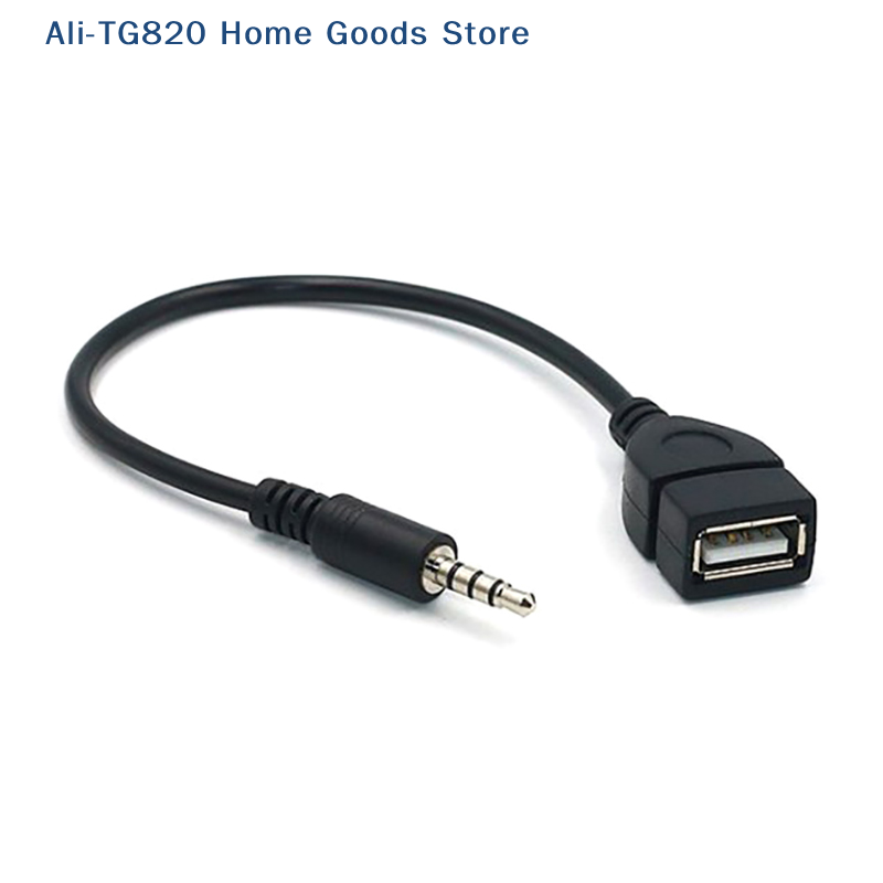 Cable Extension 3.5 - Convertitore per Lettore MP3 Auto [TG820]